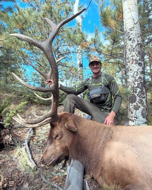 Image post by @scheelsoutdoors on Instagram