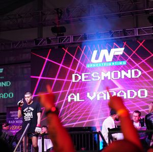 Image post by @upnextfighting on Instagram
