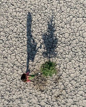 Image post by @droneartgallery on Instagram