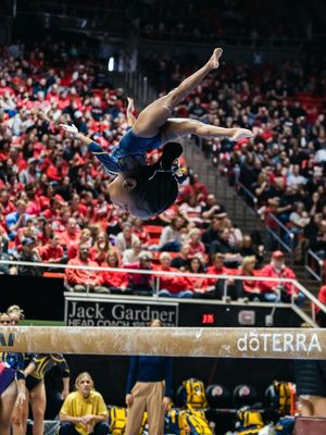 Image post by @wvugymnastics on Instagram