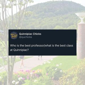 Image post by @quchicks on Instagram