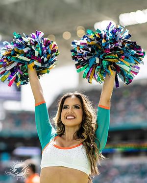 Image post by @dolphinscheer on Instagram