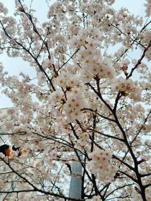 Image post by @oh.riann on Instagram