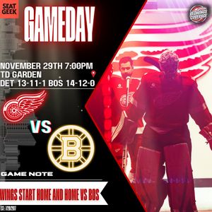 Image post by @redwingscoverage on Instagram