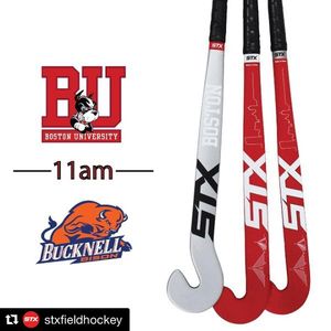 Image post by @terrierfh on Instagram