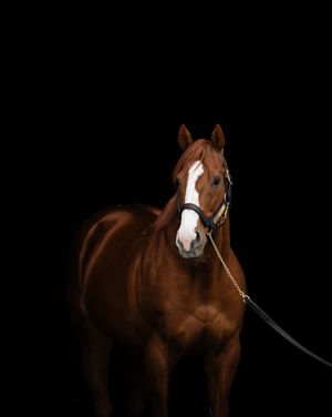 Image post by @coolmoreamerica on Instagram