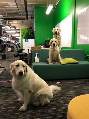 Image post by @Glassdoor on Twitter