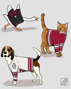 Image post by @arsonandhockey on Instagram