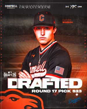 Image post by @gocamelsbsb on Instagram