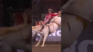 Video post by @officialcowboychannel on YouTube
