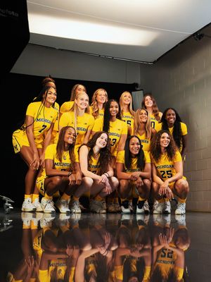 Image post by @umichwbball on Instagram