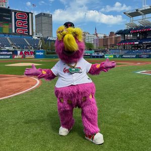 Image post by @sliderthemascot on Instagram