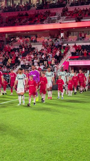 Video post by @nerevolution on TikTok