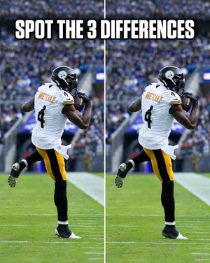 Video post by @steelers on TikTok