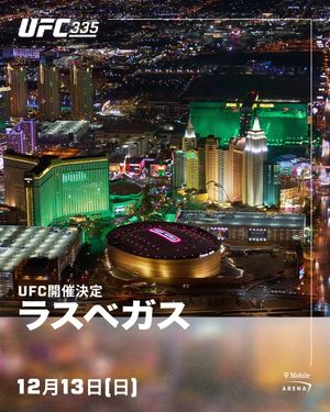 Image post by @ufc.japan on Instagram