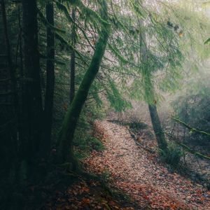 Image post by @tourismabbotsford on Instagram