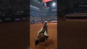 Video post by @pbr on YouTube