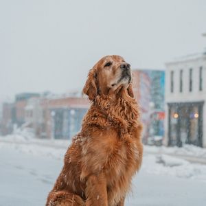 Image post by @9newsdenver on Instagram