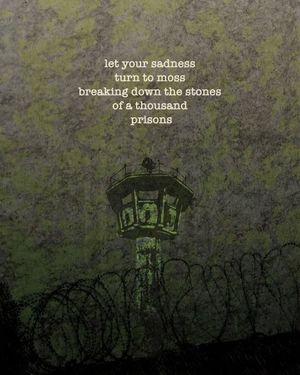 Image post by @green.anarchist on Instagram