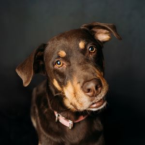 Image post by @jamie.wagasky on Instagram