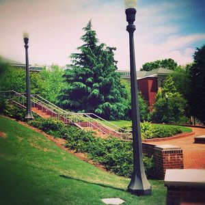 Image post by @ncstate on Instagram