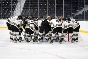 Image post by @lu_whockey on Instagram