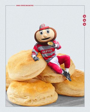 Image post by @thebrutusbuckeye on Instagram