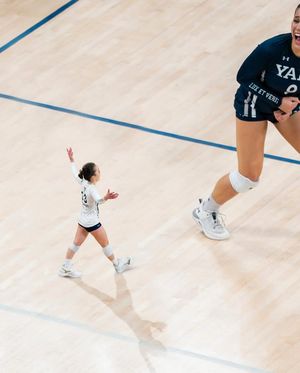 Image post by @yalevolleyball on Instagram