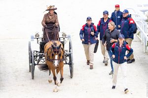 Image post by @usequestrian on Instagram