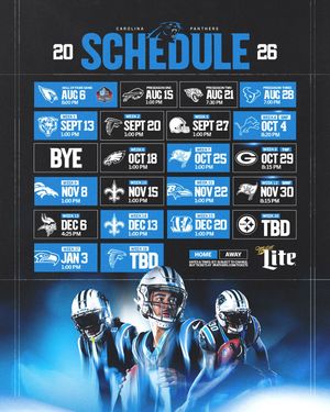Image post by @panthers on Instagram