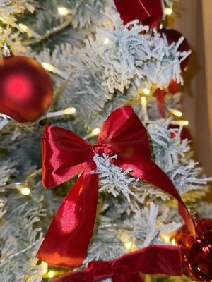 Image post by @nilaballoons.ec on Instagram