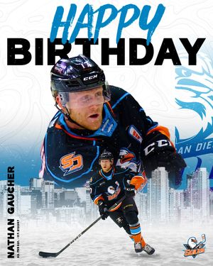 Image post by @sdgullsahl on Instagram