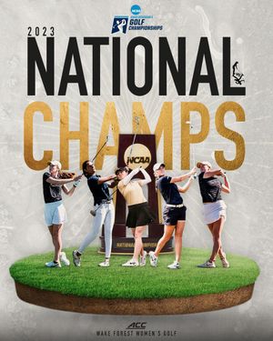 Image post by @WakeWGolf on Twitter