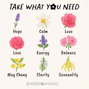 Image post by @herbsonthehill on Instagram