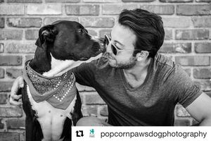 Image post by @realadamrose on Instagram