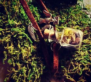Image post by @leafyaffair on Instagram