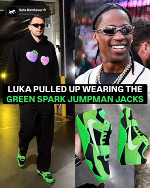 Image post by @soleretriever on Instagram