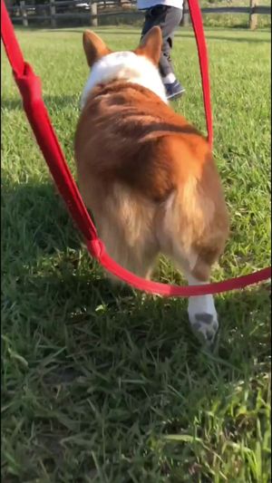 Video post by @MTZLER on Facebook
