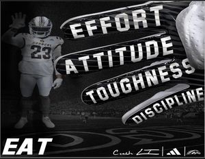 Image post by @coach_celiscar on Twitter