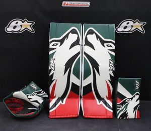 Image post by @goaliesonly on Instagram