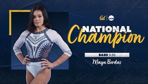Image post by @CalWGym on Twitter