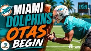 Video post by @dolphinstalk on YouTube