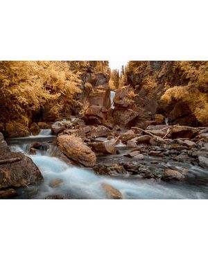 Image post by @milesbjordan on Instagram