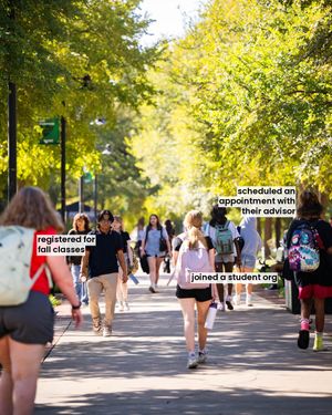 Image post by @unt on Instagram