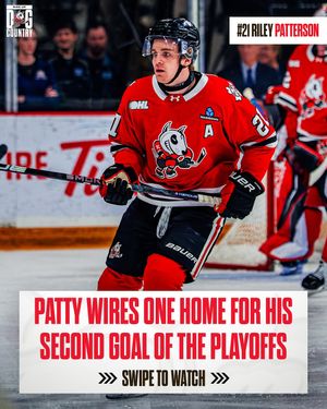 Image post by @ohlicedogs on Instagram