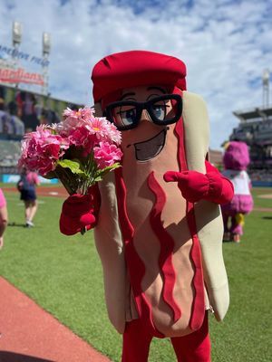 Image post by @clehotdogs on Instagram