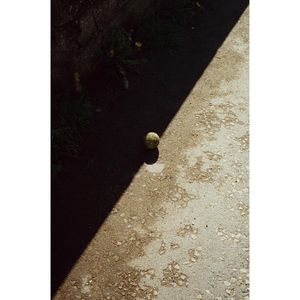 Image post by @kim_sola on Instagram