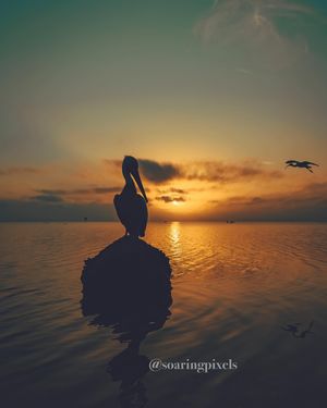 Image post by @soaringpixels on Instagram