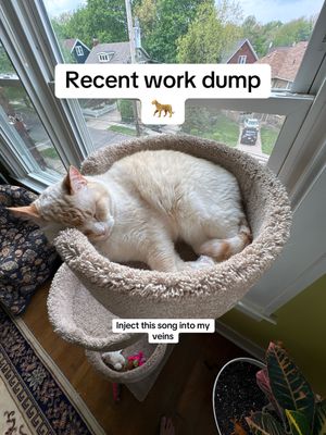 Video post by @chrisrpowers on TikTok