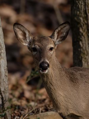 Image post by @jeffdicksonphotography on Instagram